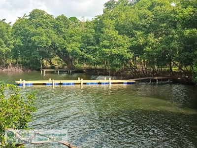 Tierra Oscura Land for Sale – Road & Boat Access, Bocas del Toro - image 22