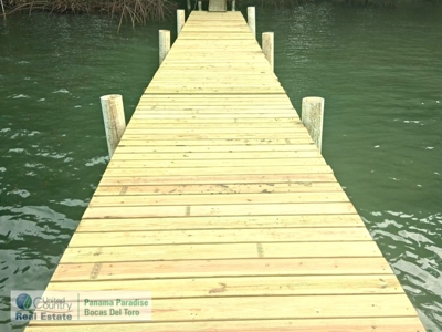 Tierra Oscura Land for Sale – Road & Boat Access, Bocas del Toro - image 25