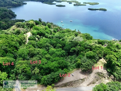 Lots with Road & Boat Access in Tierra Oscura, Bocas del Toro - image 7