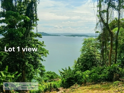 Lots with Road & Boat Access in Tierra Oscura, Bocas del Toro - image 11