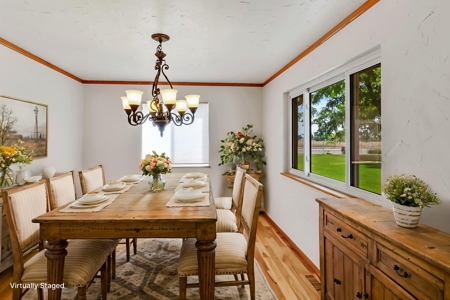 CO Country home on 12 acres with shop & livestock facilities - image 39