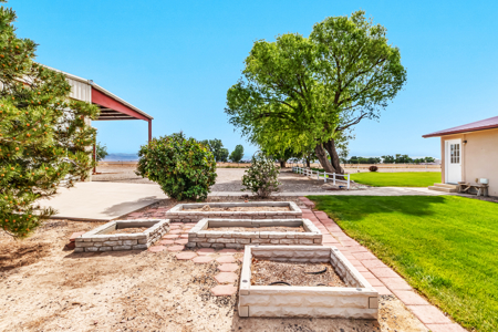 CO Country home on 12 acres with shop & livestock facilities - image 6