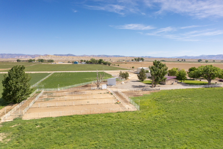 CO Country home on 12 acres with shop & livestock facilities - image 36