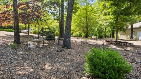 Luxury Lakefront Home in Secluded Oakland, AR on Bull Shoals Lake - image 45