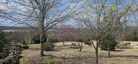 Luxury Lakefront Home in Secluded Oakland, AR on Bull Shoals Lake - image 20