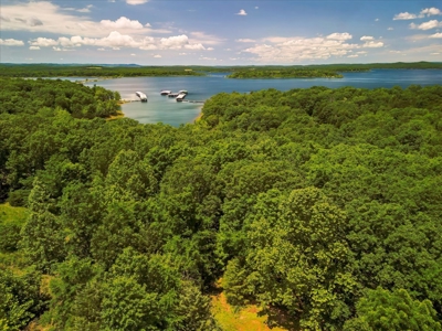 Luxury Lakefront Home in Secluded Oakland, AR on Bull Shoals Lake - image 28