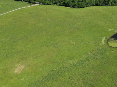 Beautiful 98 Acre Ranch in the Ozark Mountains - image 4