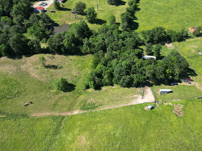 Beautiful 98 Acre Ranch in the Ozark Mountains - image 18