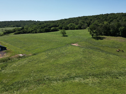 Beautiful 98 Acre Ranch in the Ozark Mountains - image 23