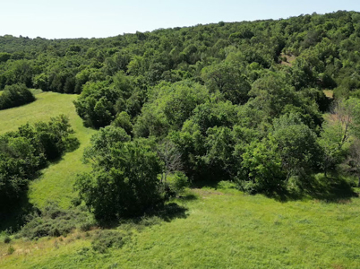 Beautiful 98 Acre Ranch in the Ozark Mountains - image 5