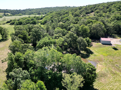 Beautiful 98 Acre Ranch in the Ozark Mountains - image 10