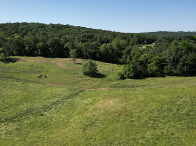 Beautiful 98 Acre Ranch in the Ozark Mountains - image 21
