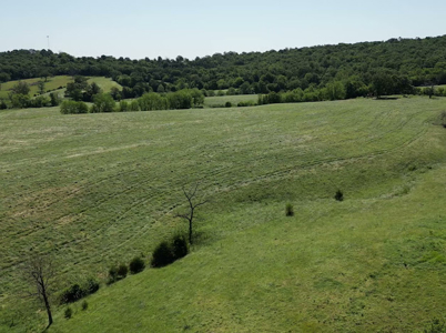 Beautiful 98 Acre Ranch in the Ozark Mountains - image 3