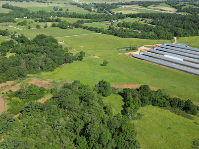 Beautiful 98 Acre Ranch in the Ozark Mountains - image 35