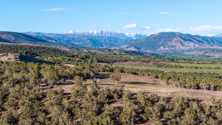 Colorado Mountain Mule Deer Hunting & Recreational Land - image 8