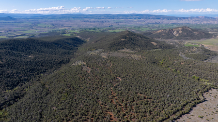 Colorado Mountain Mule Deer Hunting & Recreational Land - image 24