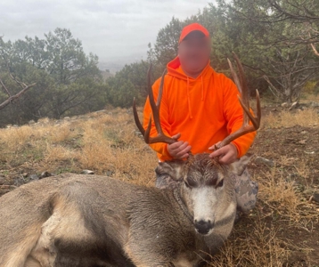 Colorado Mountain Mule Deer Hunting & Recreational Land - image 15
