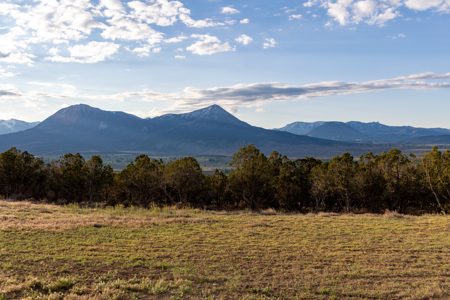 Colorado Mountain Mule Deer Hunting & Recreational Land - image 10
