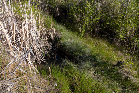 Colorado Mountain Mule Deer Hunting & Recreational Land - image 29