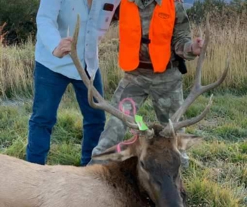 Colorado Mountain Mule Deer Hunting & Recreational Land - image 14