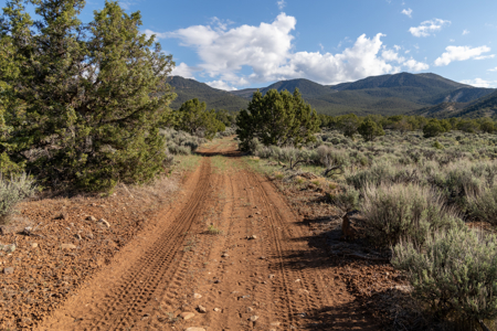 Colorado Mountain Mule Deer Hunting & Recreational Land - image 30