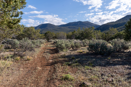 Colorado Mountain Mule Deer Hunting & Recreational Land - image 26