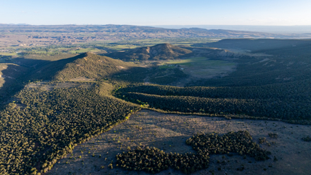 Colorado Mountain Mule Deer Hunting & Recreational Land - image 21