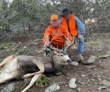 Colorado Mountain Mule Deer Hunting & Recreational Land - image 17