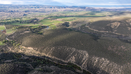 Colorado Mountain Mule Deer Hunting & Recreational Land - image 23