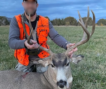 Colorado Mountain Mule Deer Hunting & Recreational Land - image 16