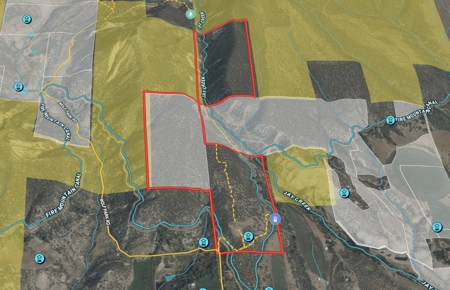 Colorado Mountain Mule Deer Hunting & Recreational Land - image 4