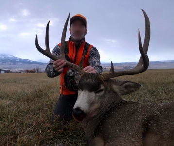 Colorado Mountain Mule Deer Hunting & Recreational Land - image 13