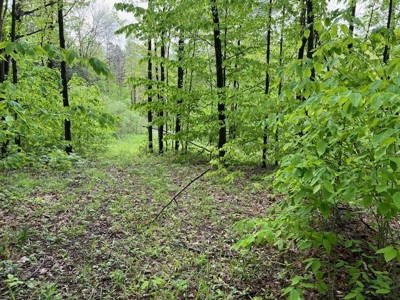 Private Wooded Acreage For Sale in Fulton County New York - image 7