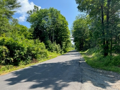 Private Wooded Acreage For Sale in Fulton County New York - image 6