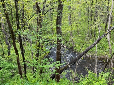 Private Wooded Acreage For Sale in Fulton County New York - image 3