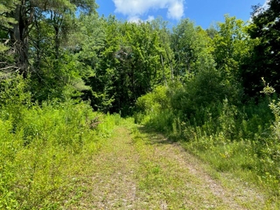 Private Wooded Acreage For Sale in Fulton County New York - image 5