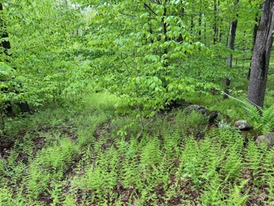 Private Wooded Acreage For Sale in Fulton County New York - image 2