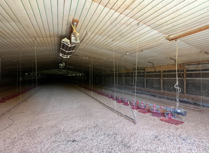 6 House Broiler Farm With Residence in Ouachita Parish - image 24