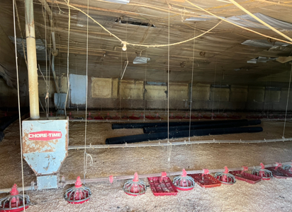6 House Broiler Farm With Residence in Ouachita Parish - image 11