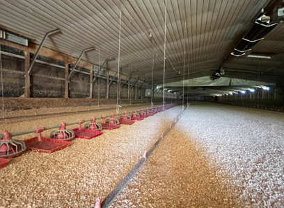 6 House Broiler Farm With Residence in Ouachita Parish - image 28