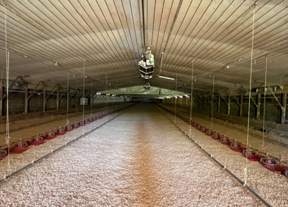 6 House Broiler Farm With Residence in Ouachita Parish - image 26