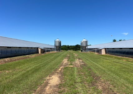 6 House Broiler Farm With Residence in Ouachita Parish - image 20