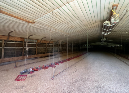 6 House Broiler Farm With Residence in Ouachita Parish - image 25
