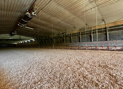 6 House Broiler Farm With Residence in Ouachita Parish - image 27