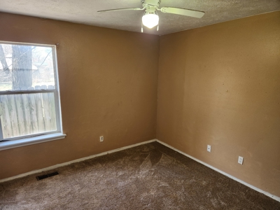 Charming Home in Desirable Area of Harrison, AR - image 17