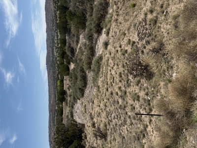 Land For Sale Surrounded by Carson National Forest with a river - image 7