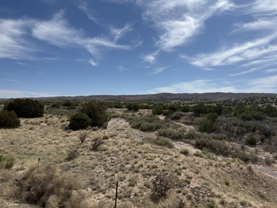 Land For Sale Surrounded by Carson National Forest with a river - image 5
