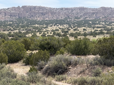 Land For Sale Surrounded by Carson National Forest with a river - image 2
