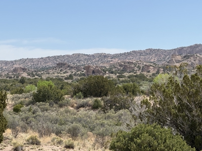 Land For Sale Surrounded by Carson National Forest with a river - image 3