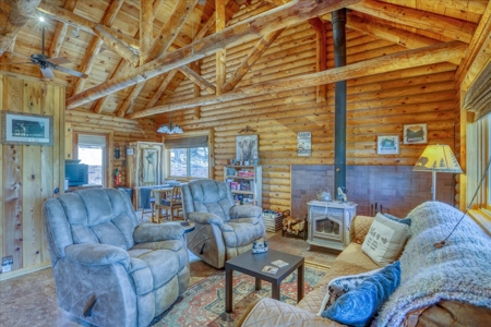 Chama NM Area Mountain Log Cabin For Sale, Heron Lake, - image 13